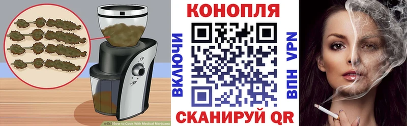 цена   Кинешма  Canna-Cookies конопля 