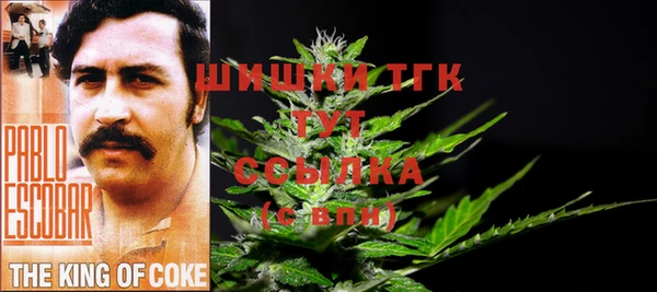 скорость Сосновоборск